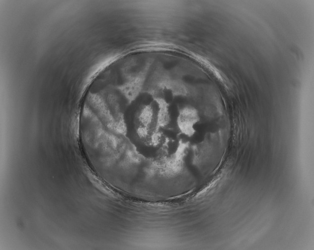 X0000112931413200909141324