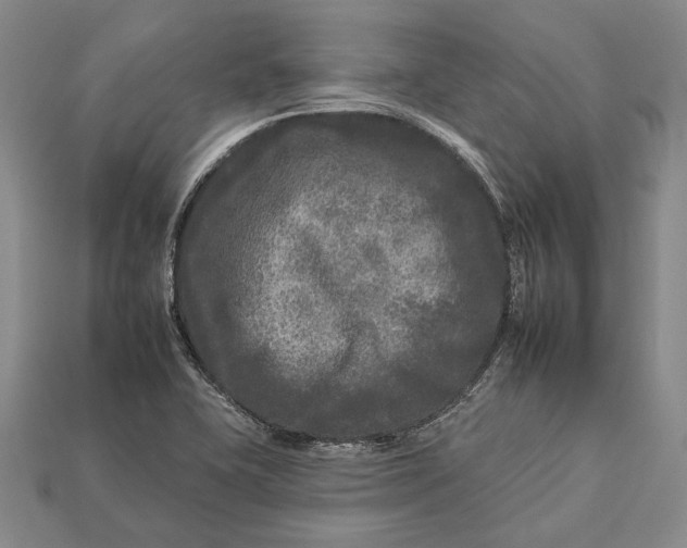 X0000112931415200909141324