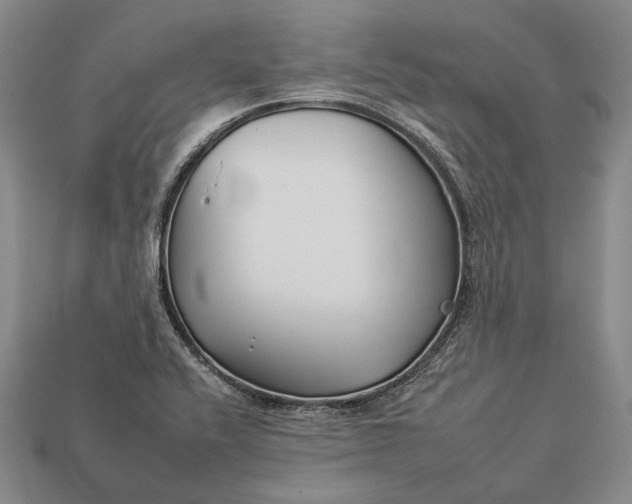 X0000112931416200909141324