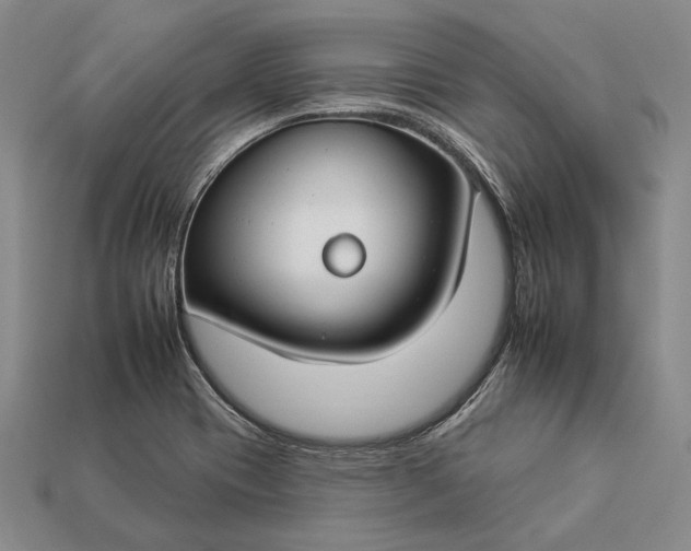 X0000112931417200909141324