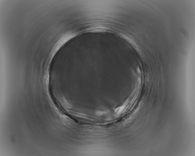 X0000112931418200909141324