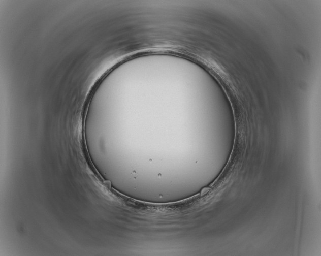 X0000112931420200909141324