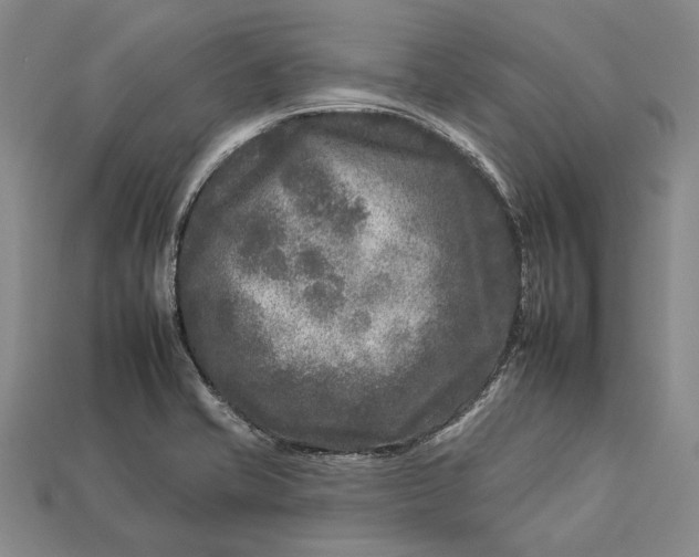 X0000112931421200909141324