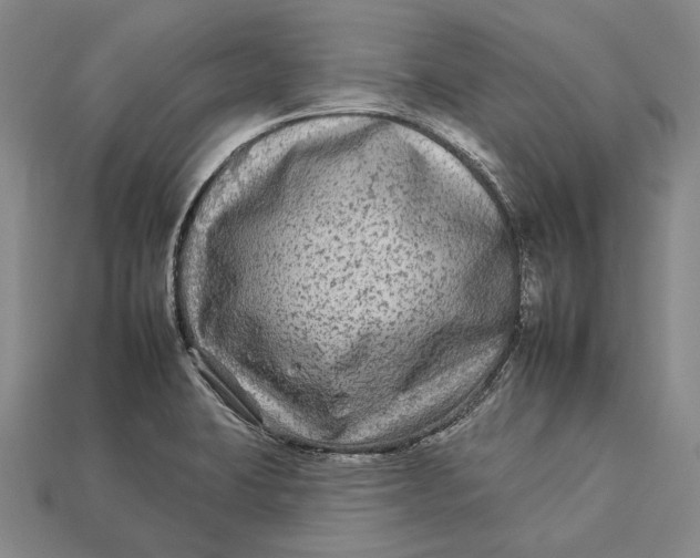 X0000112931423200909141324