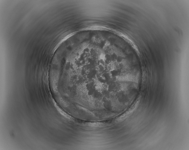 X0000112931425200909141324