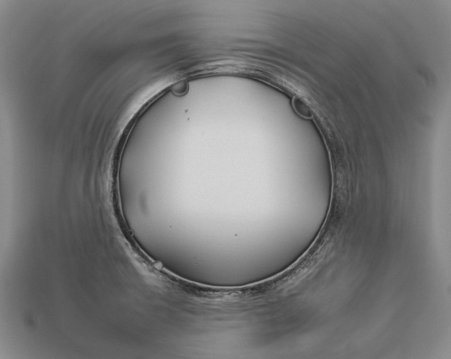 X0000112931426200909141324