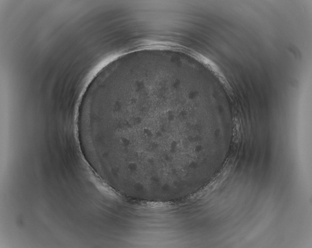 X0000112931427200909141324