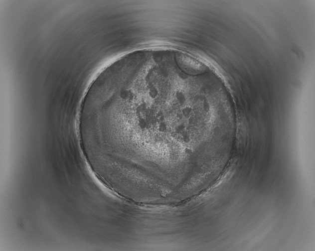 X0000112931429200909141324