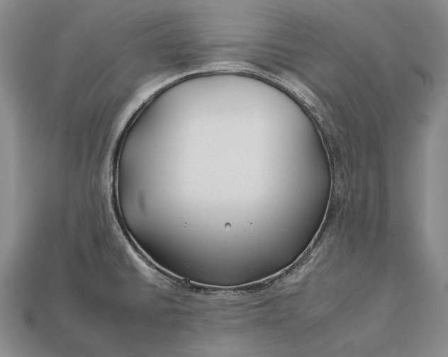 X0000112931430200909141324