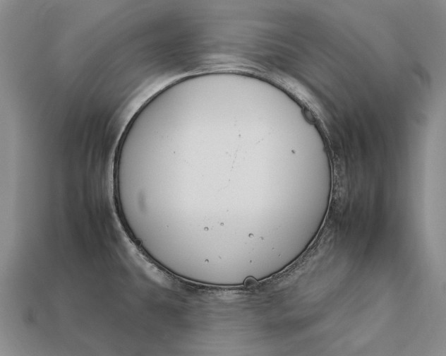 X0000112931431200909141324