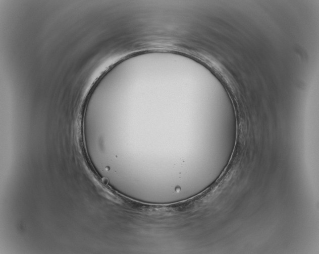 X0000112931432200909141324