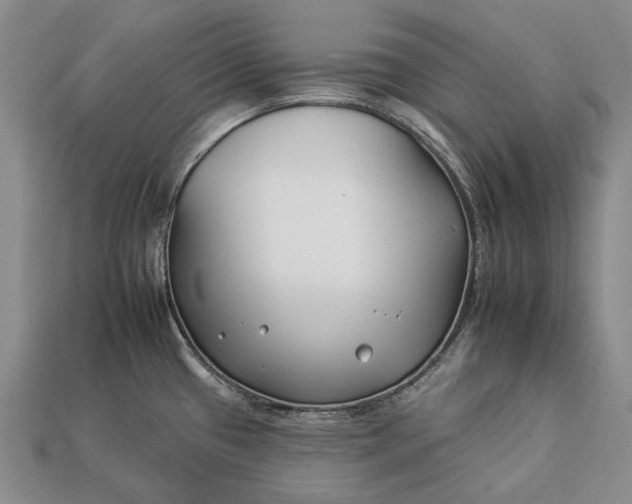 X0000112931433200909141324