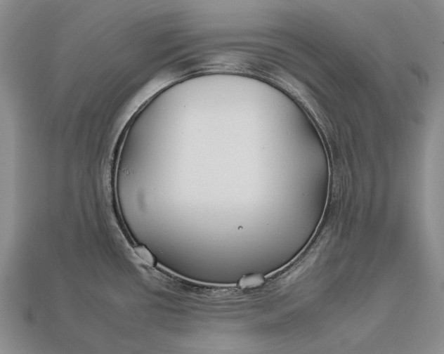 X0000112931434200909141324