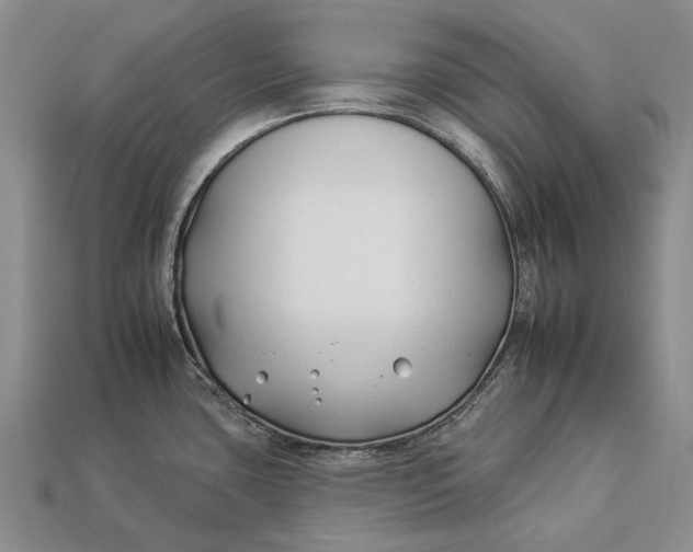 X0000112931435200909141324