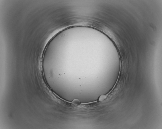 X0000112931436200909141324