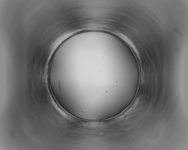 X0000112931437200909141324