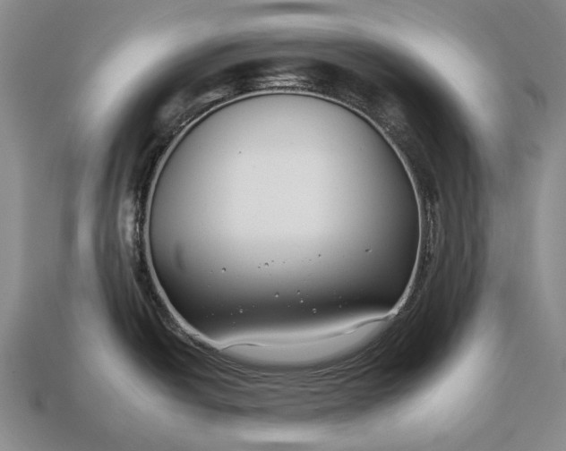 X0000112931438200909141324