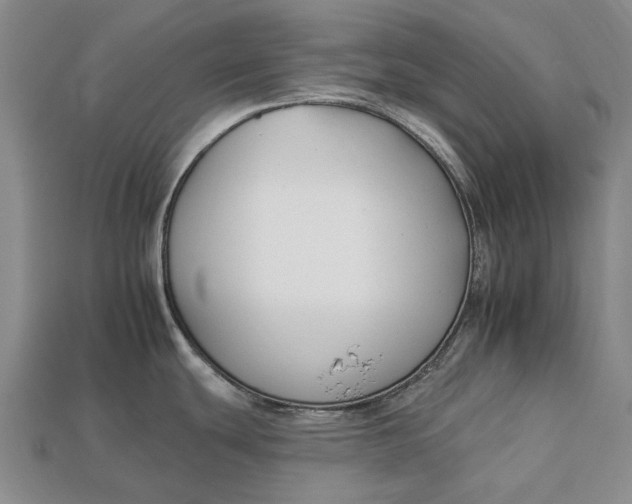 X0000112931439200909141324