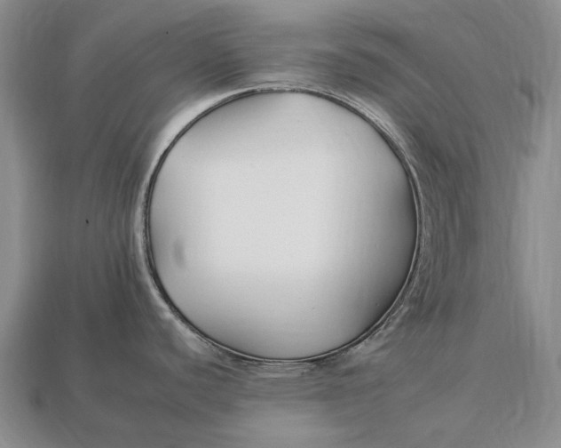 X0000112931440200909141324