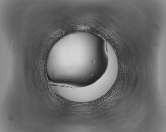 X0000112931441200909141323