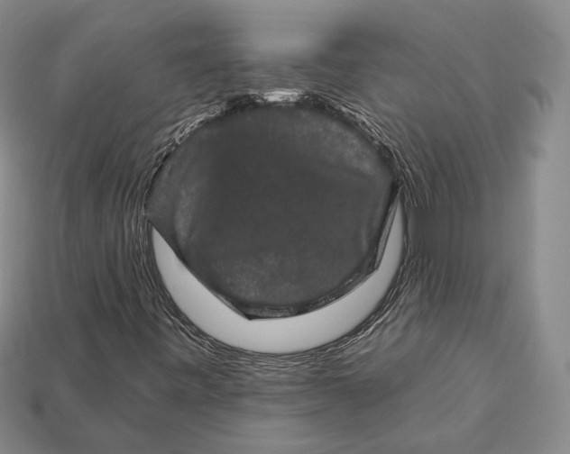 X0000112931443200909141323