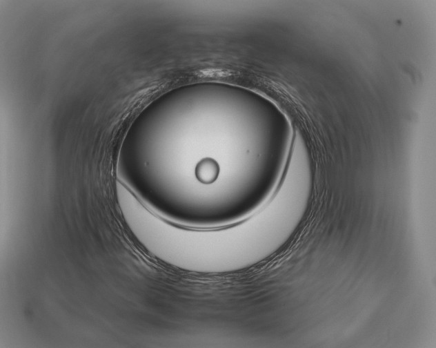 X0000112931444200909141323