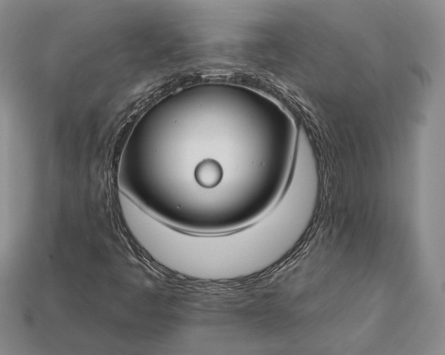 X0000112931445200909141323