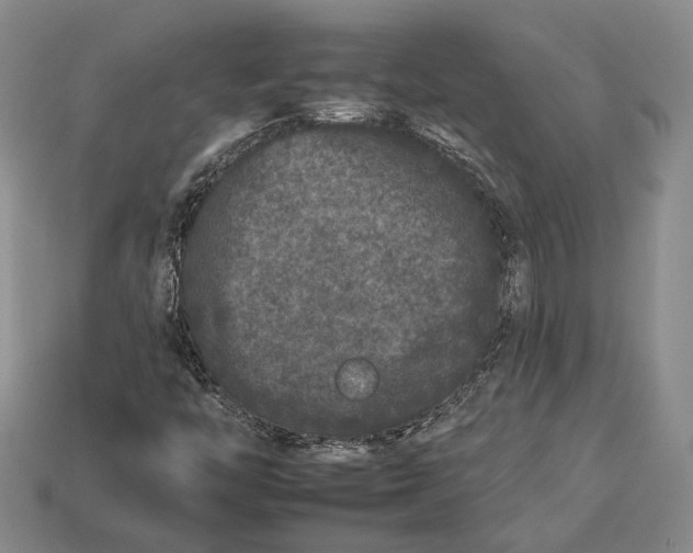 X0000112931446200909141323