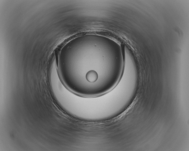 X0000112931449200909141323