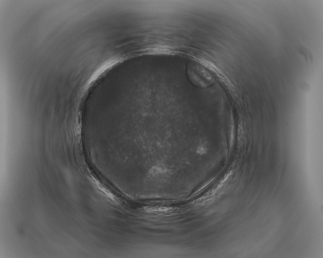 X0000112931450200909141323