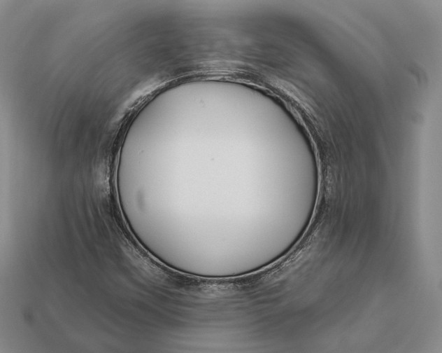 X0000112931451200909141323