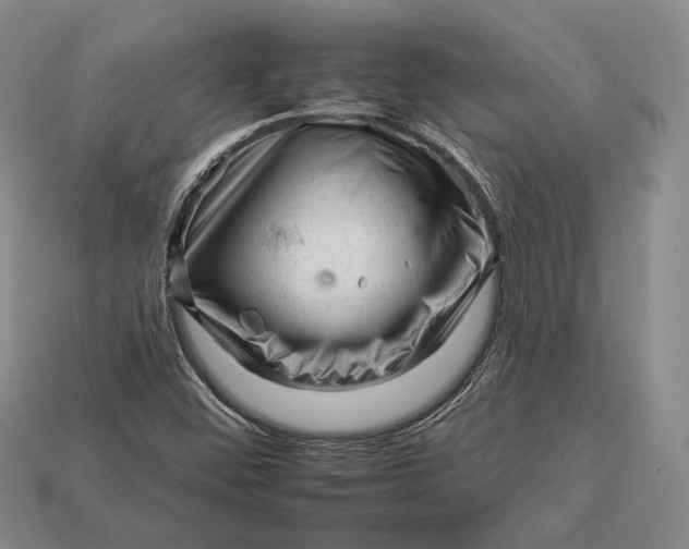 X0000112931452200909141323