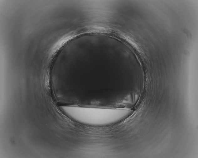 X0000112931455200909141323