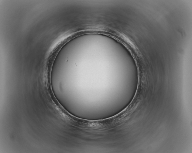 X0000112931456200909141323