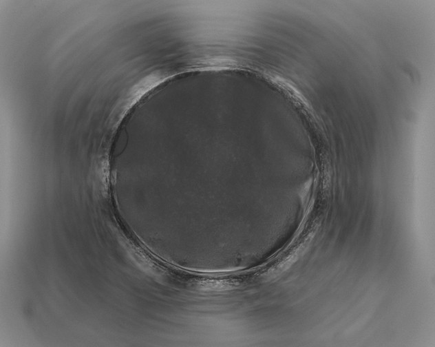 X0000112931457200909141323