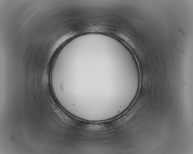 X0000112931458200909141323