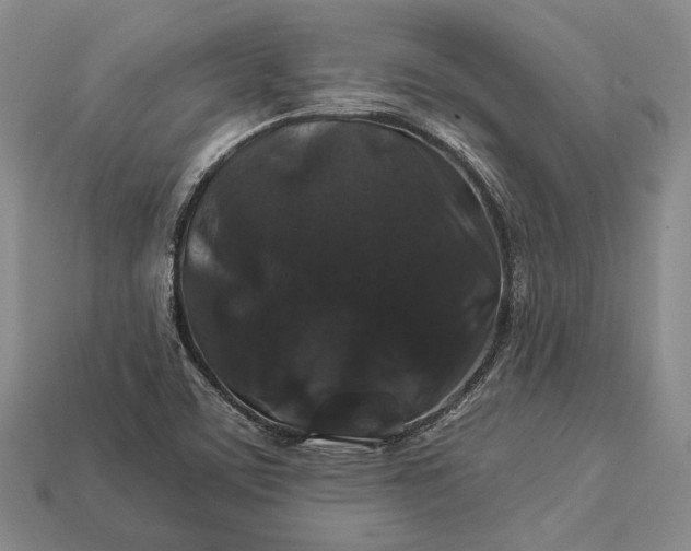 X0000112931459200909141323