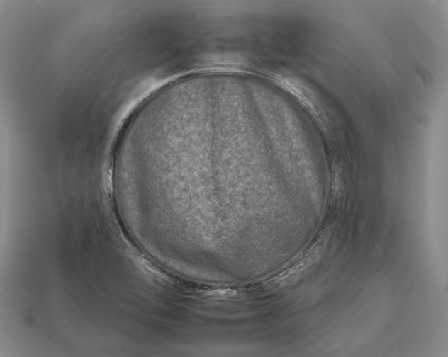 X0000112931462200909141323