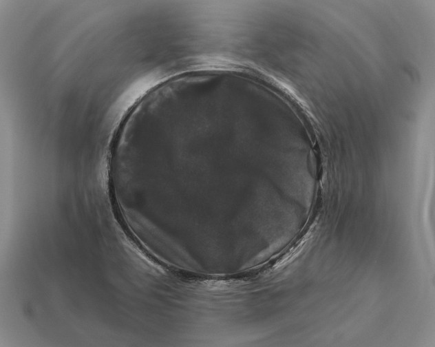 X0000112931463200909141323