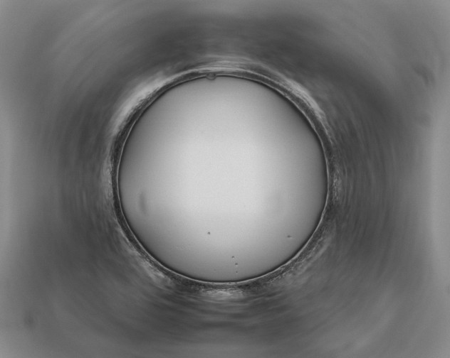 X0000112931464200909141323