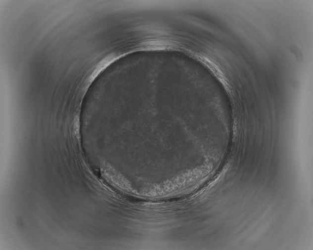 X0000112931465200909141323