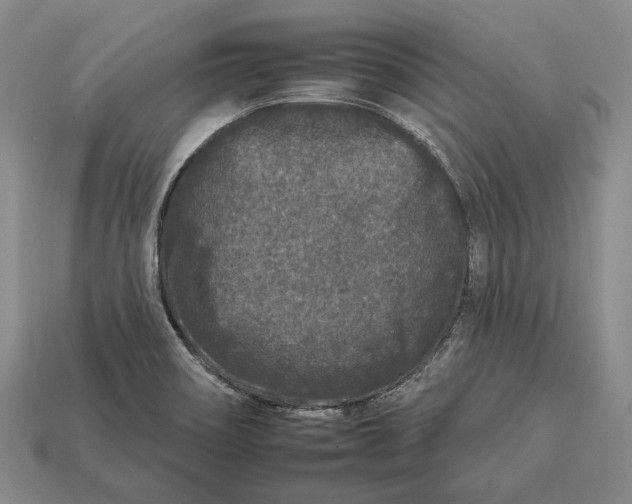 X0000112931466200909141323