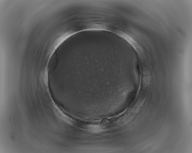 X0000112931468200909141323