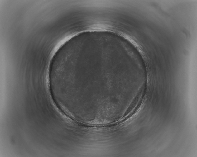 X0000112931469200909141323