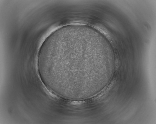 X0000112931470200909141323