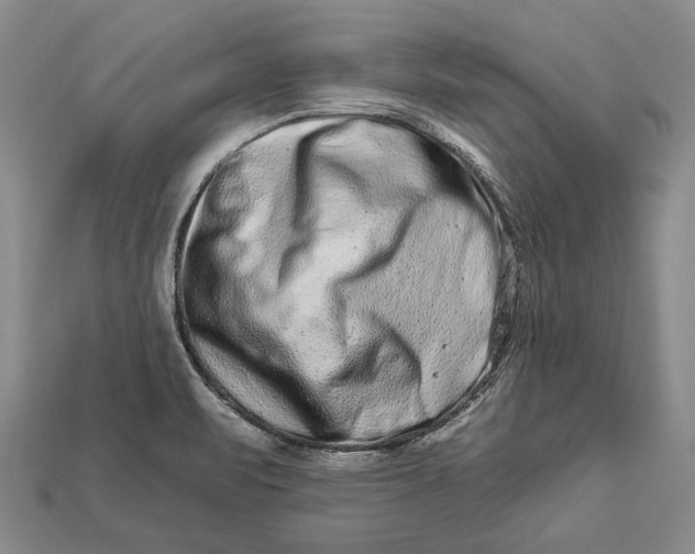 X0000112931471200909141323