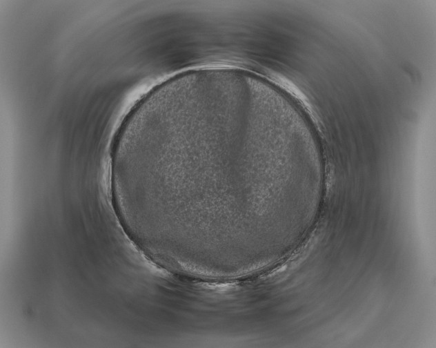 X0000112931472200909141323