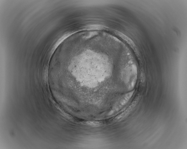 X0000112931473200909141323