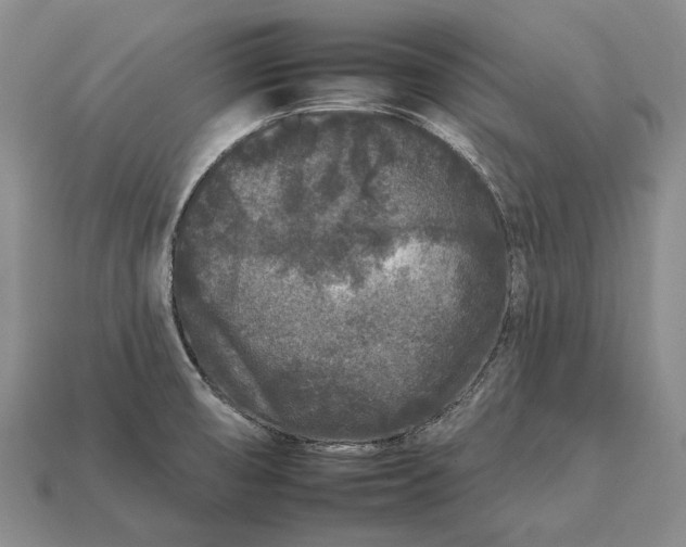 X0000112931474200909141323