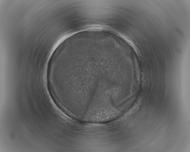 X0000112931475200909141323